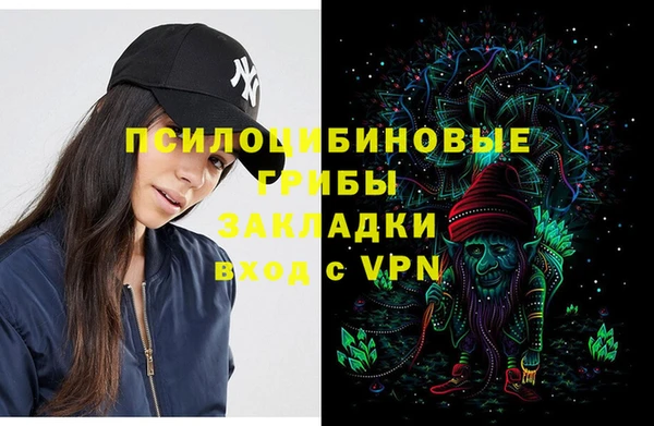 шишки Кинешма