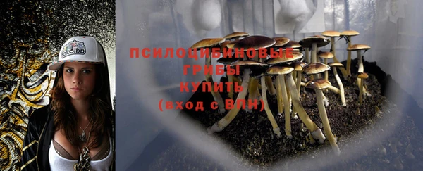 шишки Кинешма