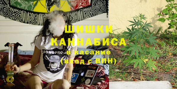 шишки Кинешма