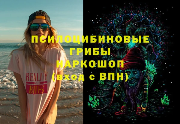 шишки Кинешма