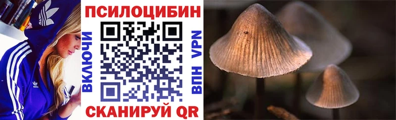 Псилоцибиновые грибы Magic Shrooms  Купить закладки  Вытегра 